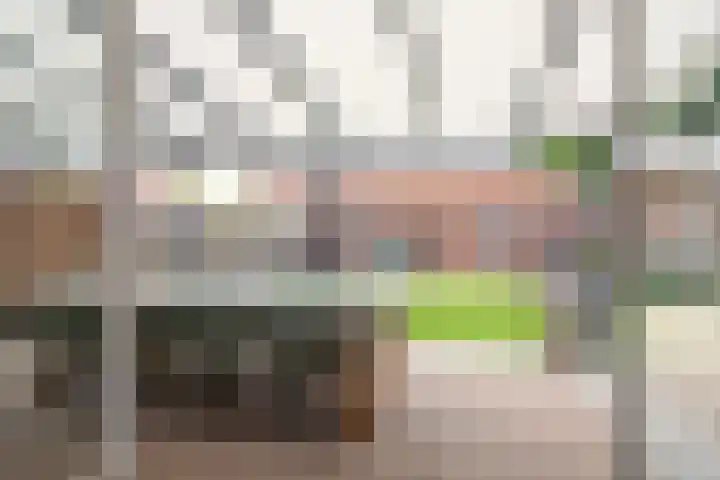 Beatrixlaan 21 Roermond thumbnail 25