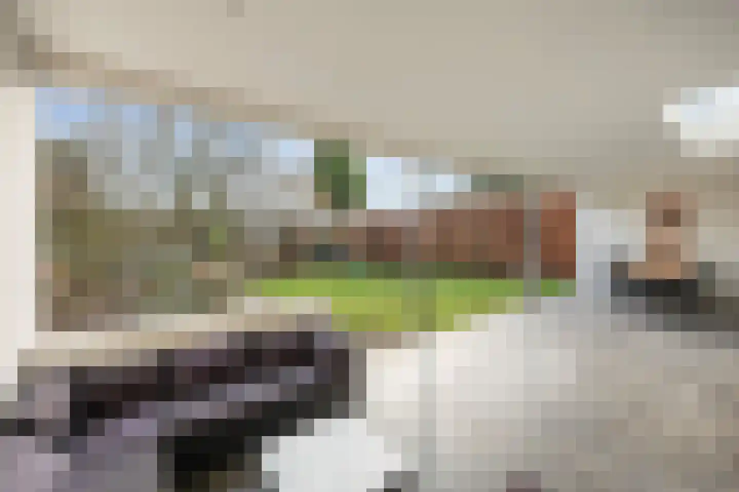 Beatrixlaan 22 Geleen thumbnail 46