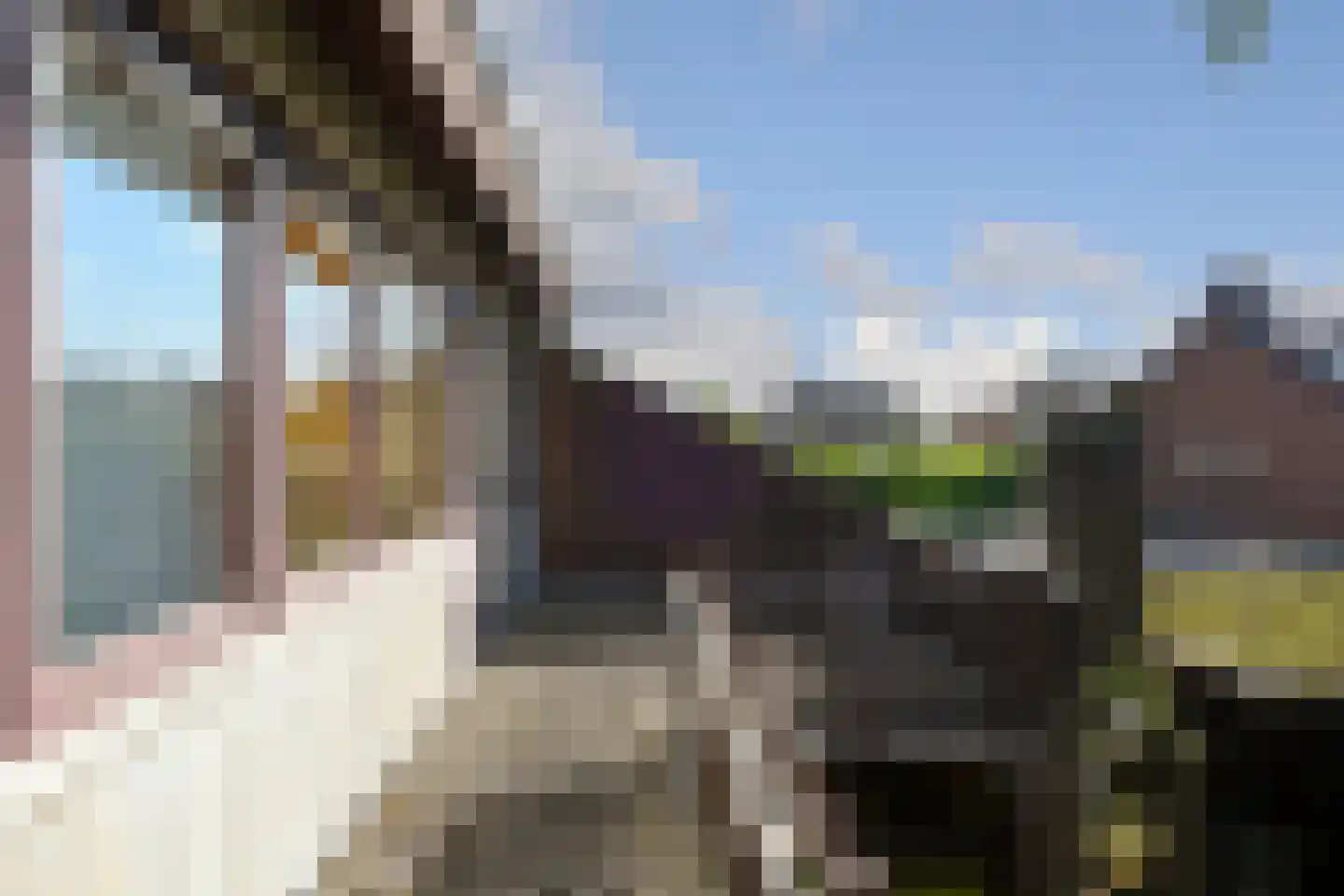 Beatrixlaan 22 Weert thumbnail 34