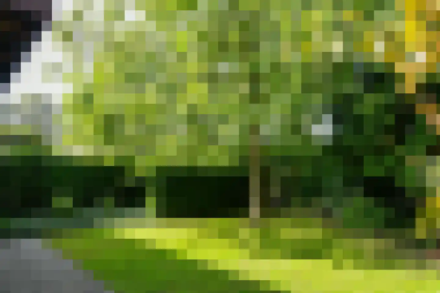 Beatrixlaan 22 Weert thumbnail 43