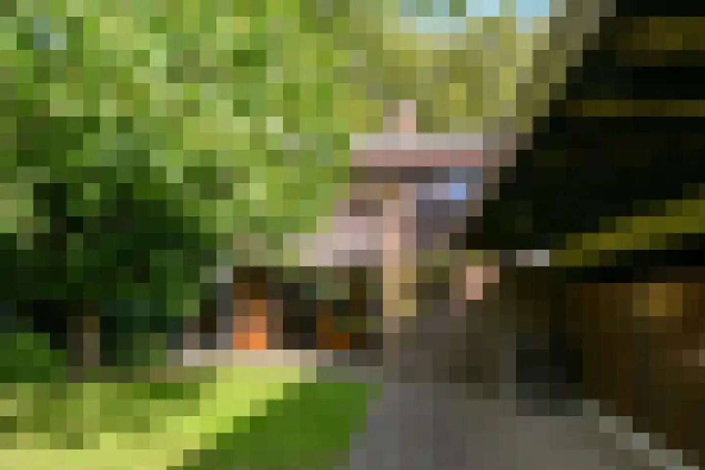 Beatrixlaan 22 Weert thumbnail 5