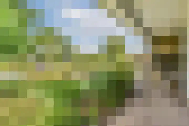 Beatrixlaan 25 Haastrecht thumbnail 18