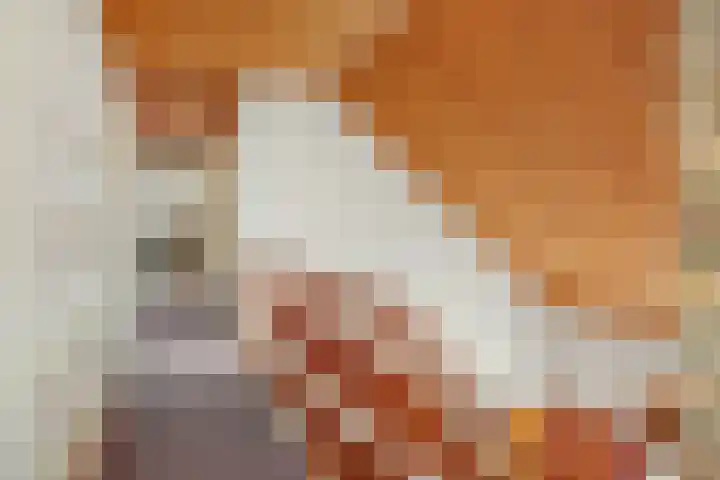 Beatrixlaan 25 Someren thumbnail 30