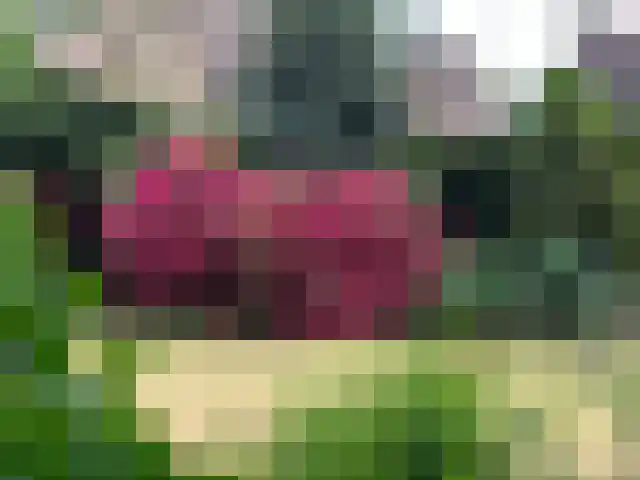 Beatrixlaan 25 Someren thumbnail 4