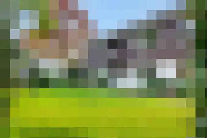 Beatrixlaan 25 Someren thumbnail 49
