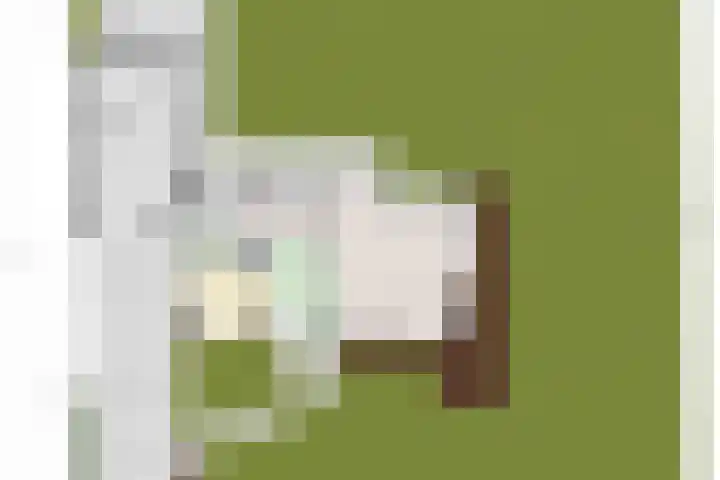 Beatrixlaan 25 Someren thumbnail 58