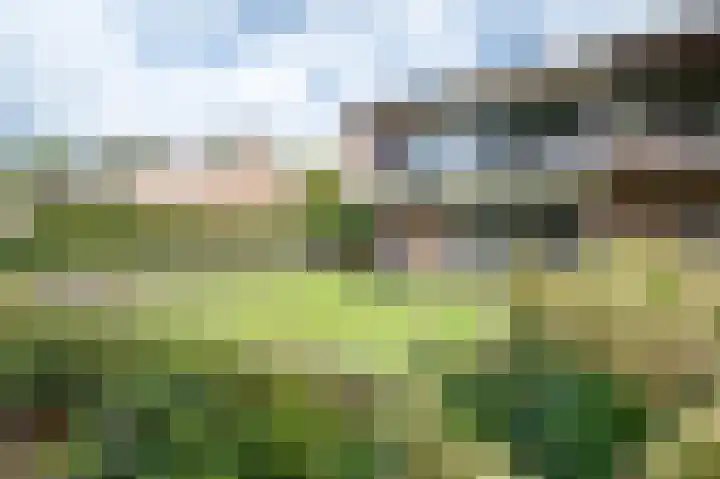 Beatrixlaan 26 Haren Gn thumbnail 10