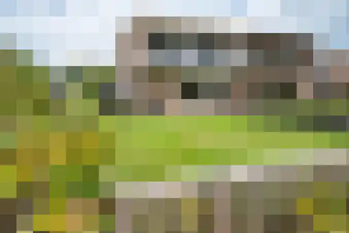 Beatrixlaan 26 Haren Gn thumbnail 12