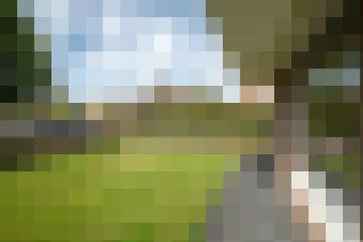 Beatrixlaan 26 Haren Gn thumbnail 13