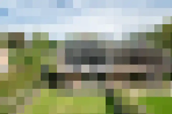 Beatrixlaan 26 Haren Gn thumbnail 6