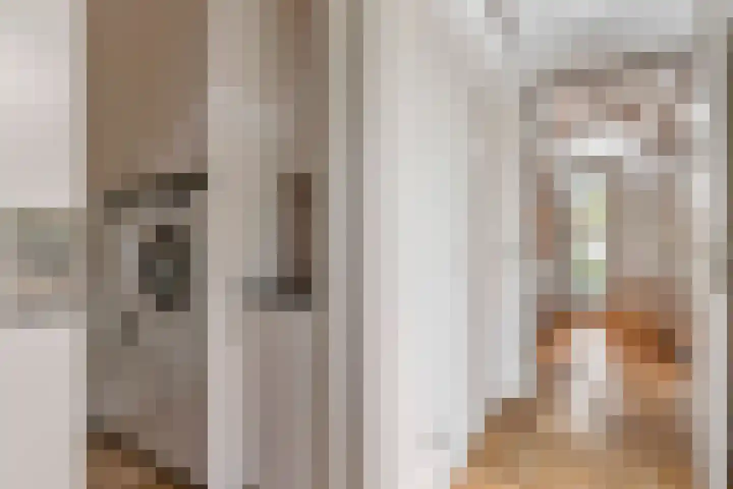 Beatrixlaan 28 Someren thumbnail 23