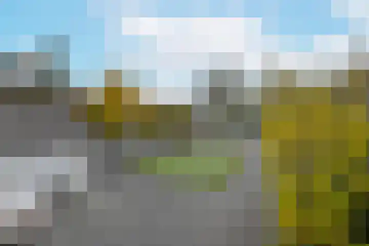 Beatrixlaan 3 Nieuwkoop thumbnail 15