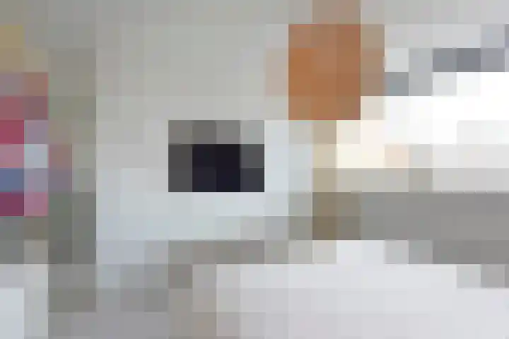Beatrixlaan 3 Nieuwkoop thumbnail 20