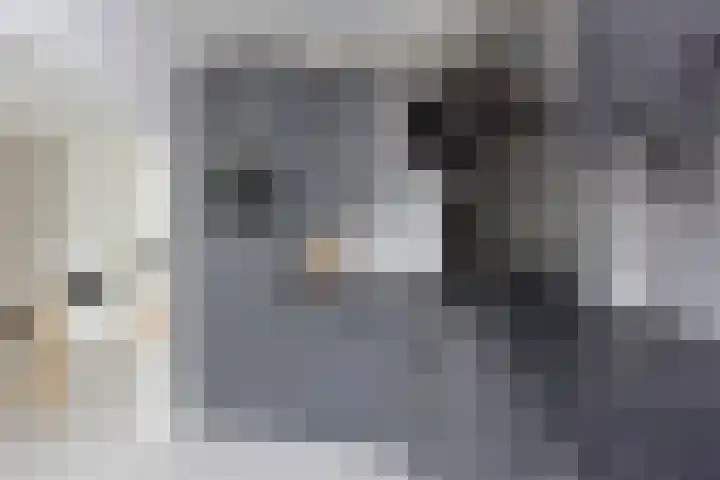 Beatrixlaan 3 Nieuwkoop thumbnail 6