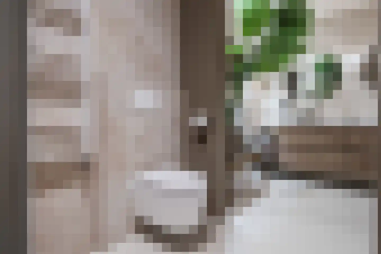 Beatrixlaan 3 Schoonebeek thumbnail 33