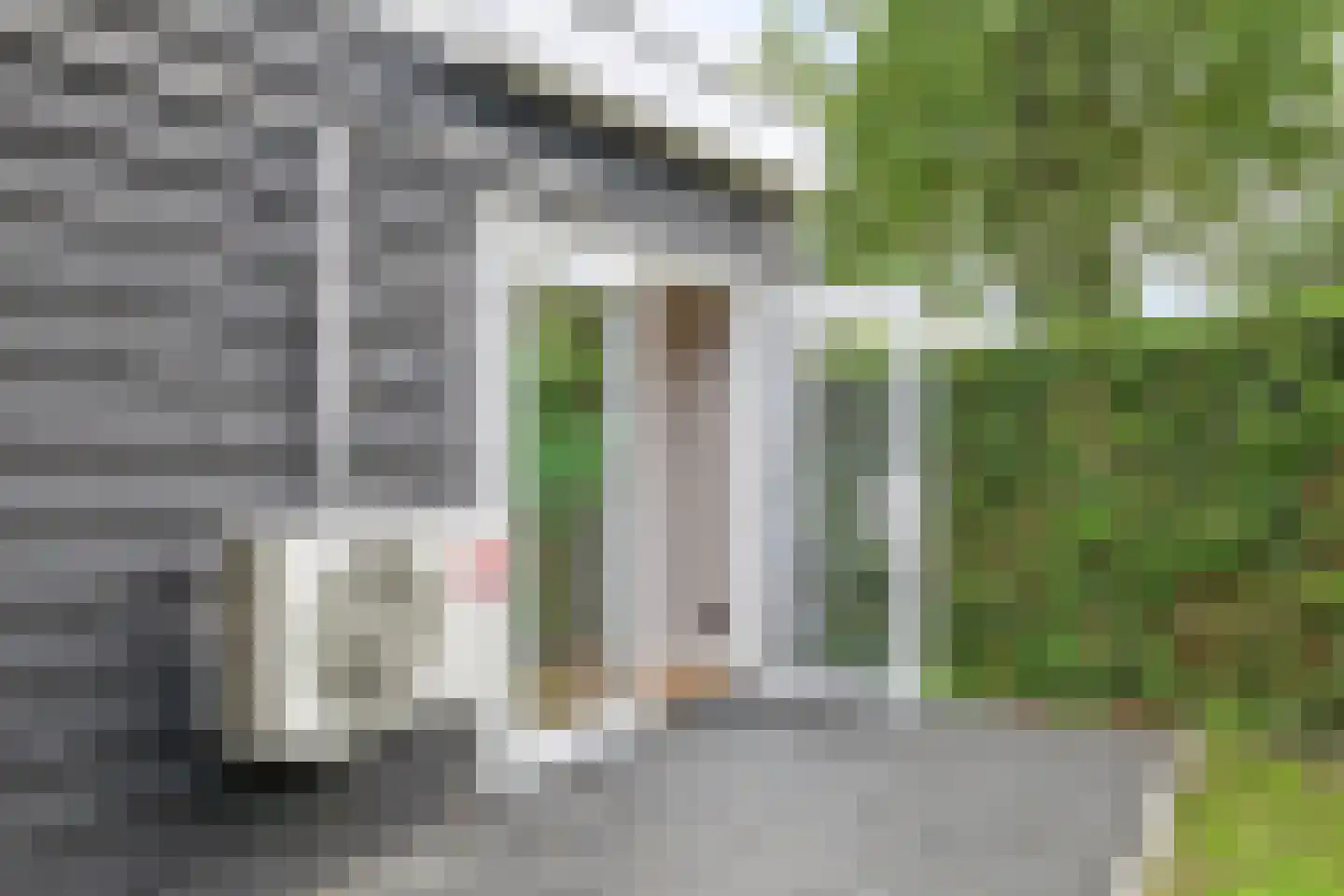 Beatrixlaan 3 Schoonebeek thumbnail 44