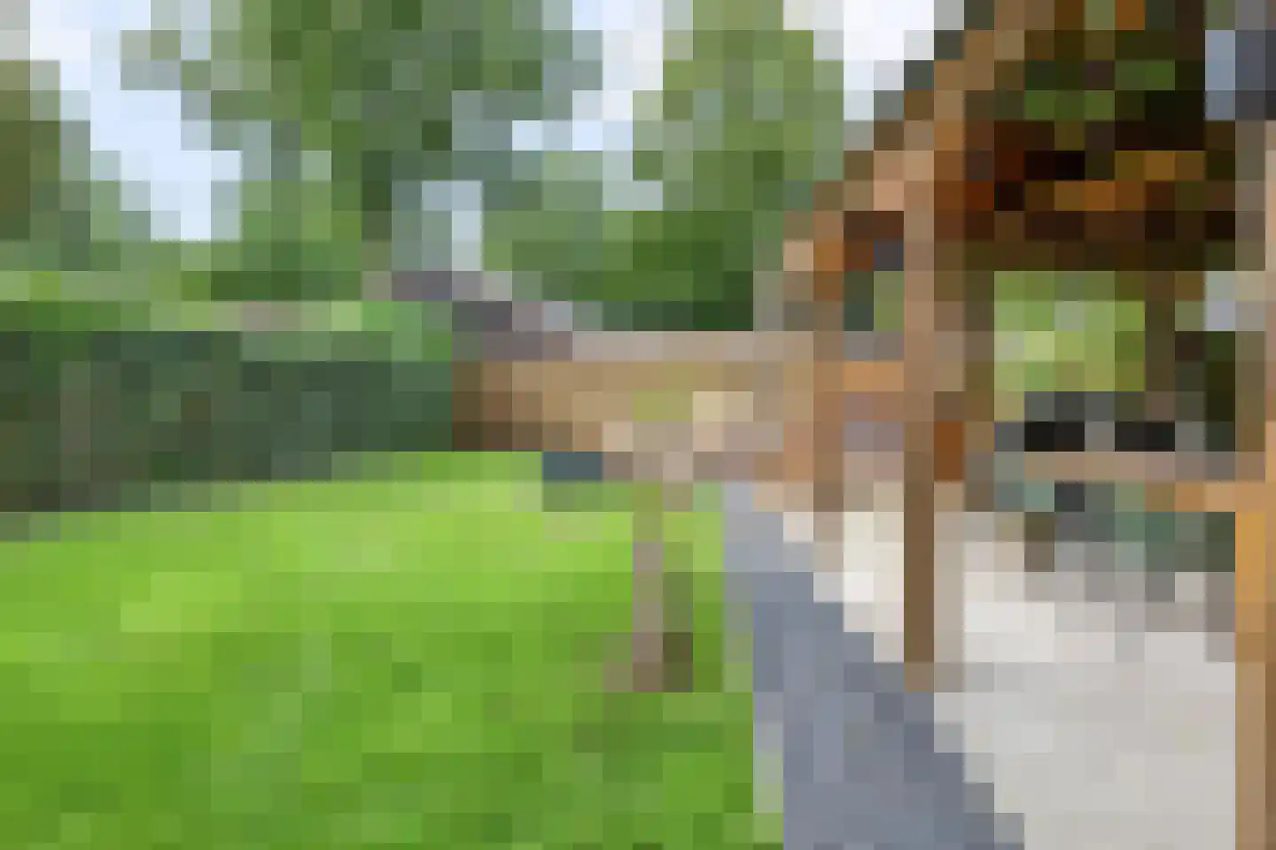 Beatrixlaan 3 Schoonebeek thumbnail 46