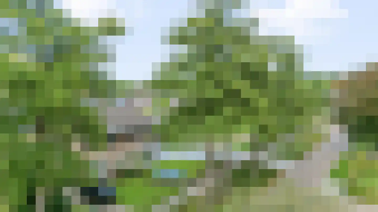 Beatrixlaan 3 Schoonebeek thumbnail 53
