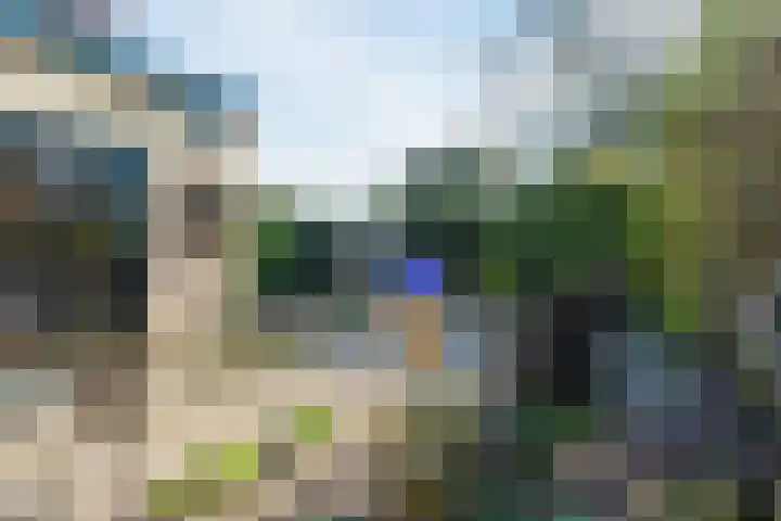 Beatrixlaan 3 Soest thumbnail 32
