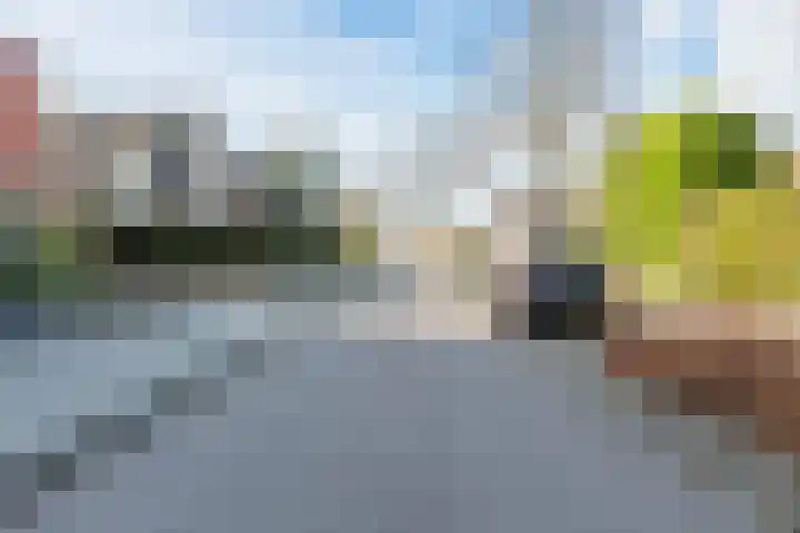Beatrixlaan 3 Soest thumbnail 39