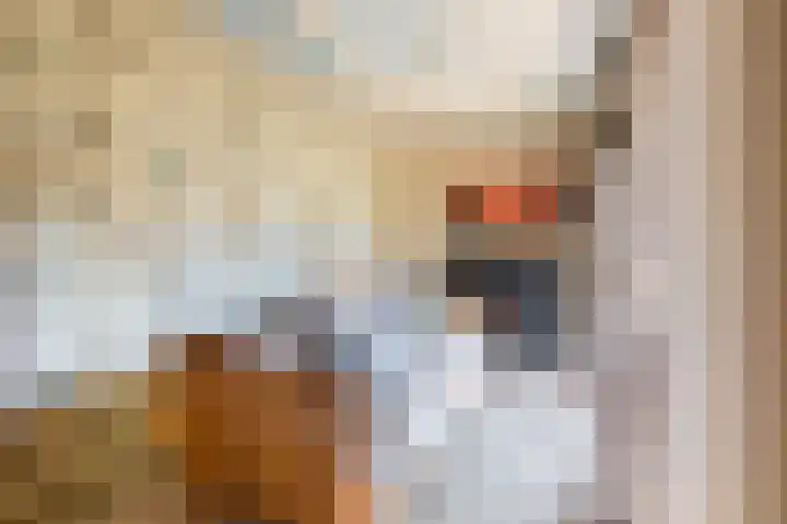 Beatrixlaan 3 Soest thumbnail 6