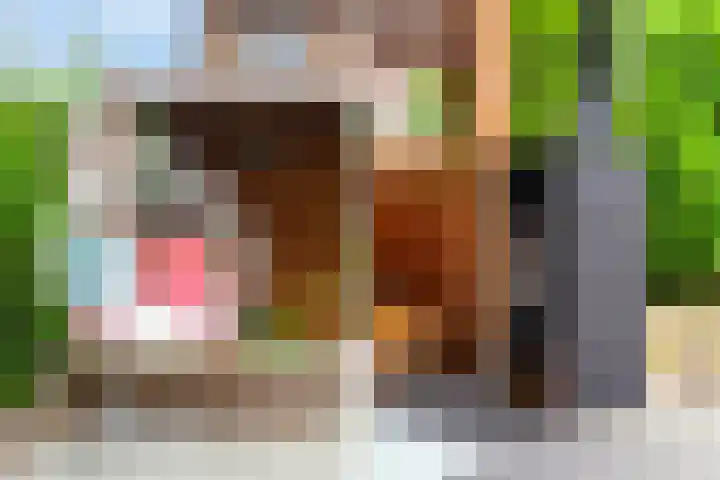 Beatrixlaan 3 Westmaas thumbnail 11
