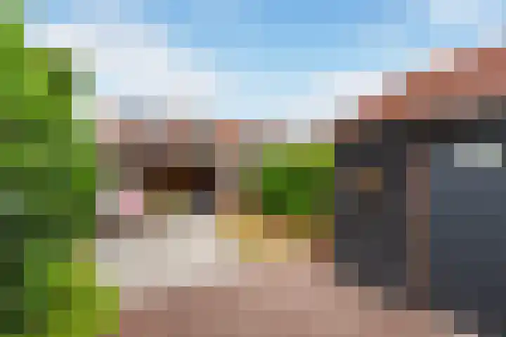 Beatrixlaan 3 Westmaas thumbnail 12