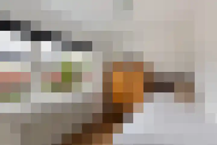 Beatrixlaan 3 Westmaas thumbnail 27