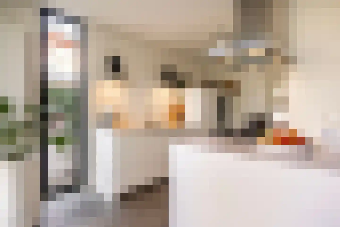 Beatrixlaan 30 Ede thumbnail 20