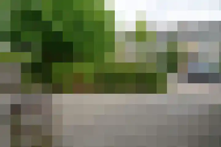 Beatrixlaan 31 Soest thumbnail 29