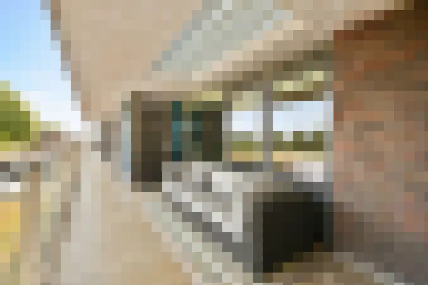 Beatrixlaan 32 Beverwijk thumbnail 18