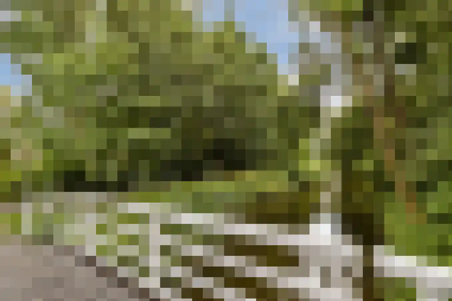 Beatrixlaan 32 Beverwijk thumbnail 28