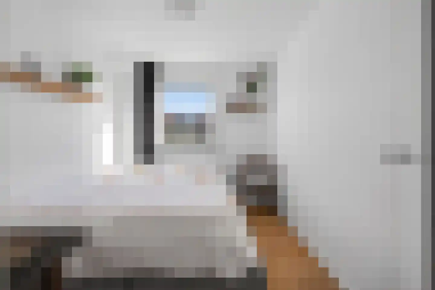 Beatrixlaan 32 Monnickendam thumbnail 19