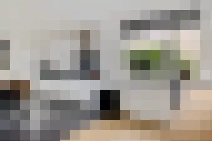 Beatrixlaan 32 Oosterhesselen thumbnail 12
