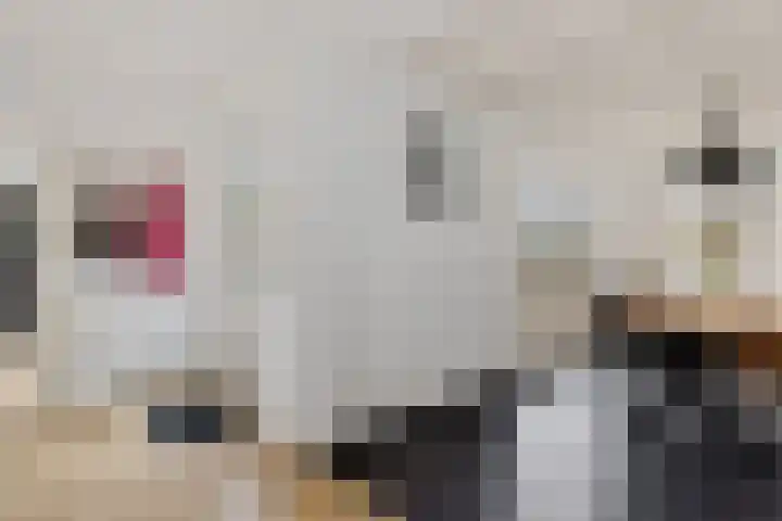Beatrixlaan 32 Oosterhesselen thumbnail 13