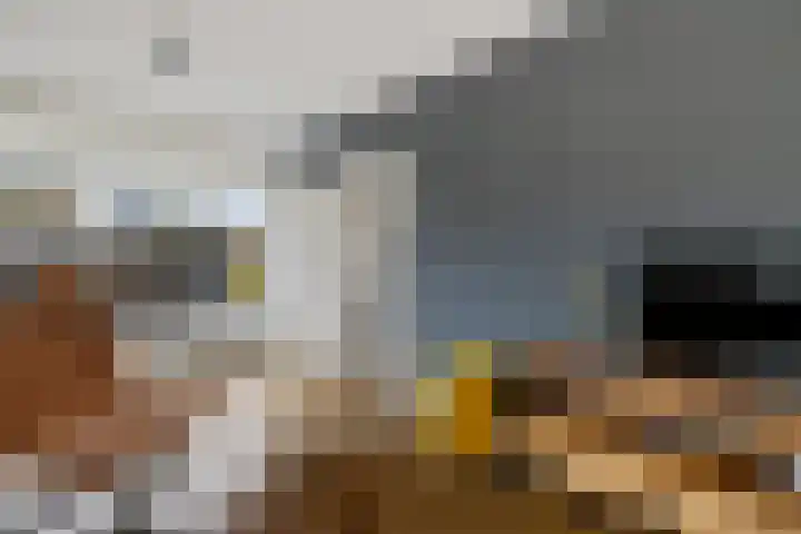 Beatrixlaan 32 Oosterhesselen thumbnail 15