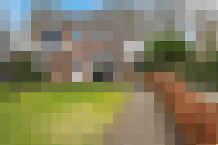 Beatrixlaan 32 Oosterhesselen thumbnail 40