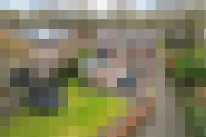 Beatrixlaan 32 Oosterhesselen thumbnail 41