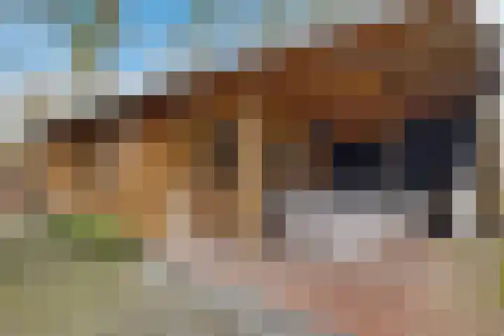 Beatrixlaan 32 Oosterhesselen thumbnail 43