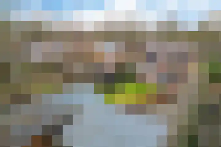 Beatrixlaan 32 Oosterhesselen thumbnail 44