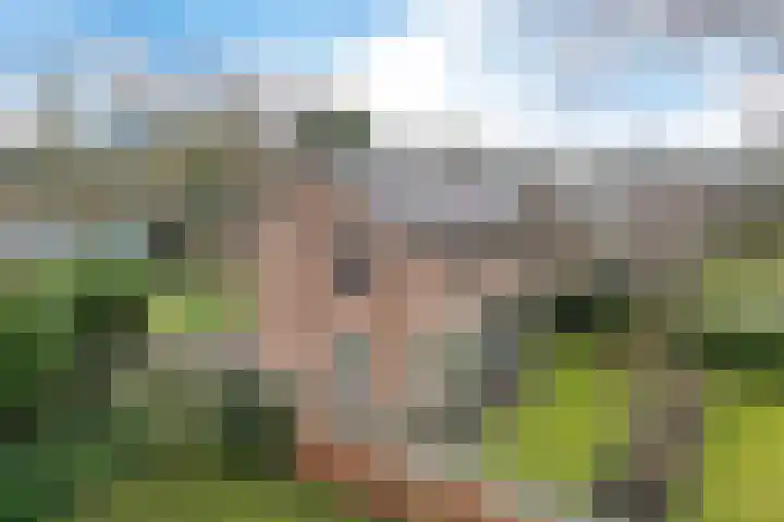Beatrixlaan 32 Oosterhesselen thumbnail 45