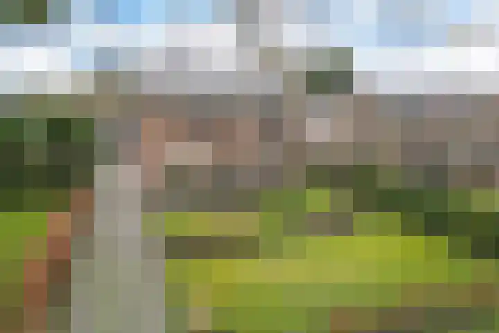 Beatrixlaan 32 Oosterhesselen thumbnail 47
