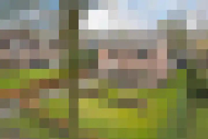 Beatrixlaan 32 Oosterhesselen thumbnail 48