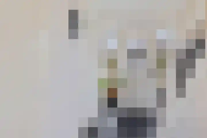 Beatrixlaan 32 Oosterhesselen thumbnail 5