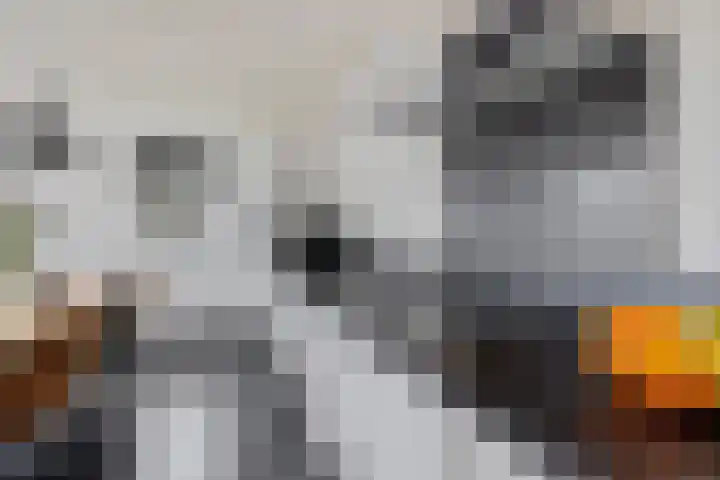 Beatrixlaan 32 Oosterhesselen thumbnail 6