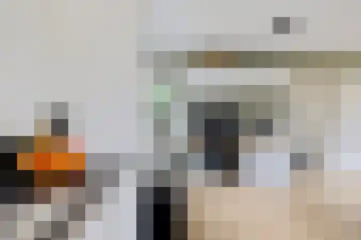 Beatrixlaan 32 Oosterhesselen thumbnail 9