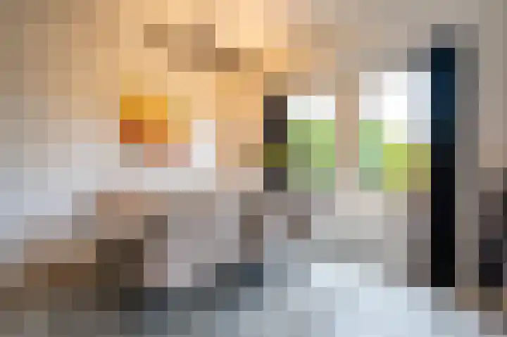 Beatrixlaan 34 Dalem thumbnail 20