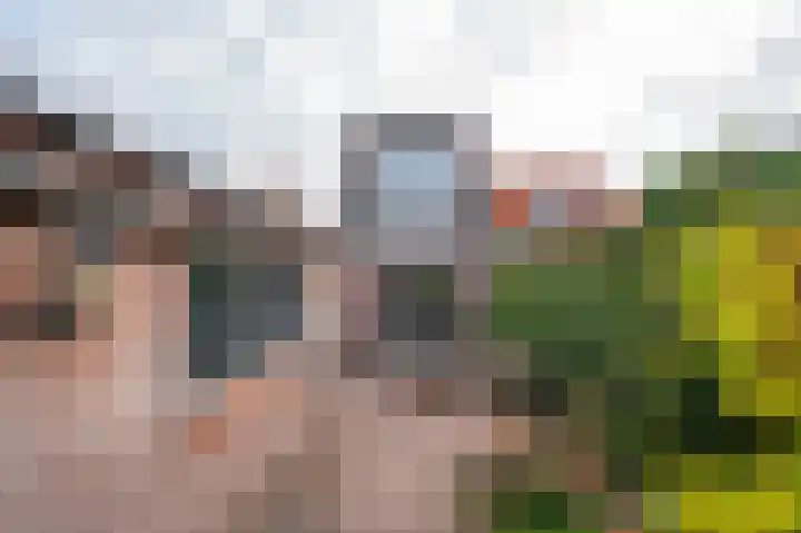 Beatrixlaan 34 Dalem thumbnail 23
