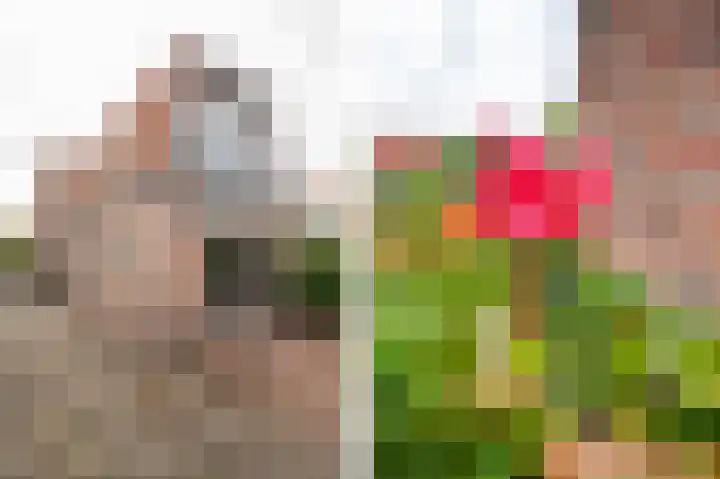 Beatrixlaan 34 Dalem thumbnail 24