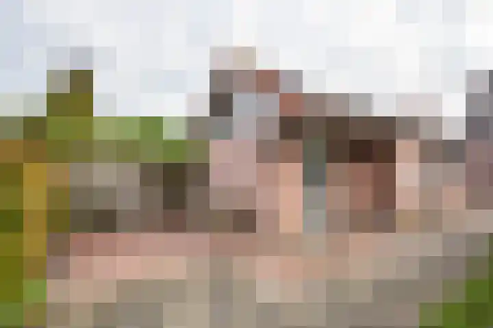 Beatrixlaan 34 Dalem thumbnail 28